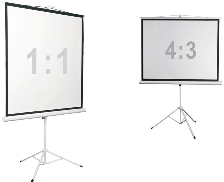 Экран Digis 112" 200x200см Kontur-D DSKD-1106 1:1 напольный рулонный