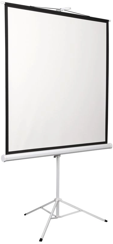 Экран Digis 112" 200x200см Kontur-D DSKD-1106 1:1 напольный рулонный