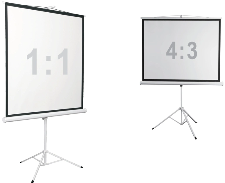 Экран Digis 112" 200x200см Kontur-D DSKD-1106 1:1 напольный рулонный