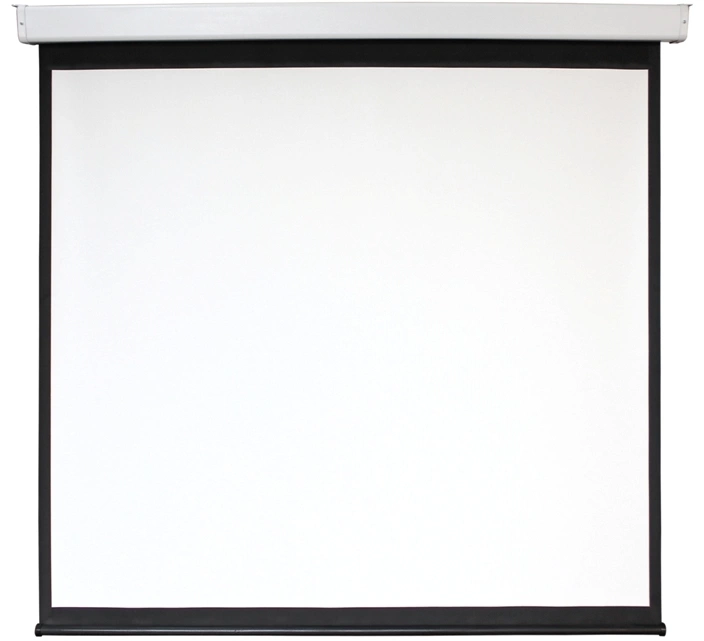 Экран Digis 135" 240x240см Electra-F DSEF-1108 1:1 настенно-потолочный рулонный (моторизованный привод)