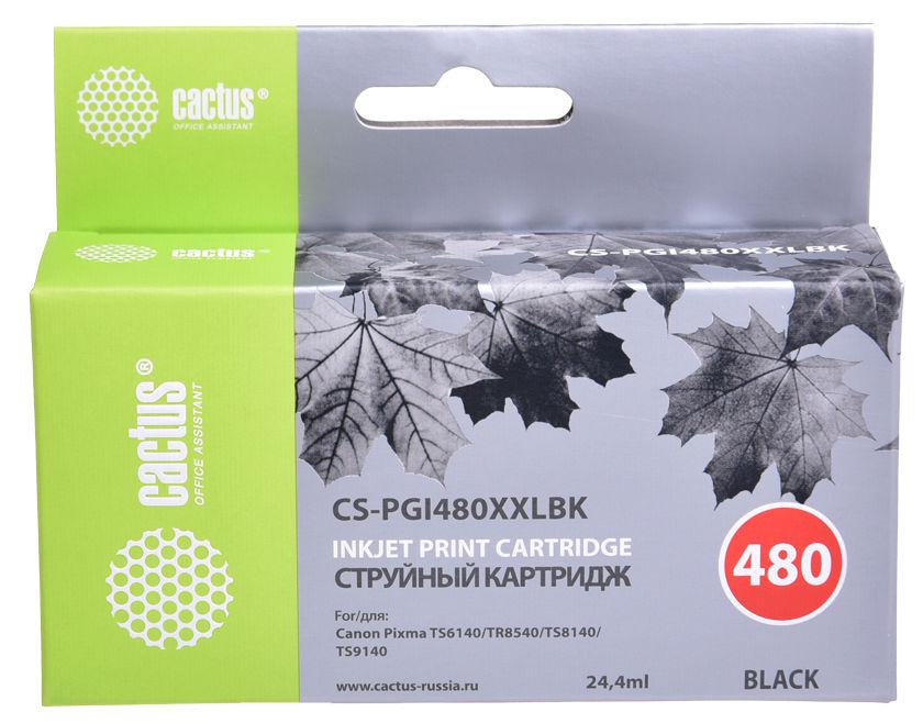 Картридж струйный Cactus CS-PGI480XXLBK черный (24.4мл) для Canon Pixma TR7540/TR8540/TS6140/TS8140