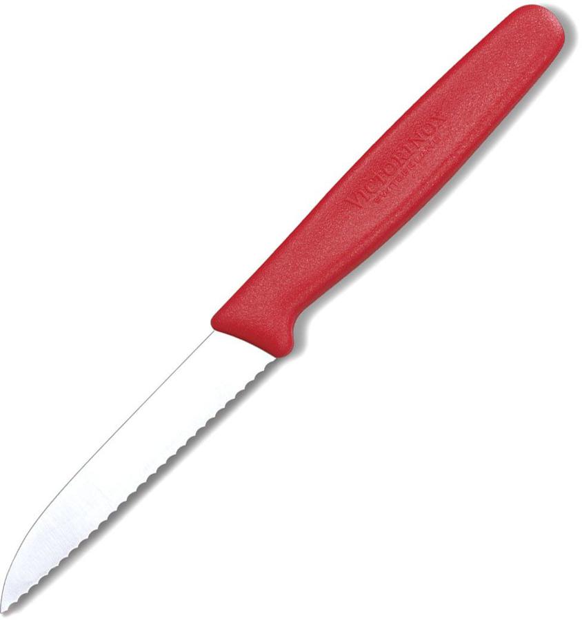 Нож кухонный Victorinox Standart (5.0431) стальной для чистки овощей и фруктов лезв.80мм серрейт. заточка красный