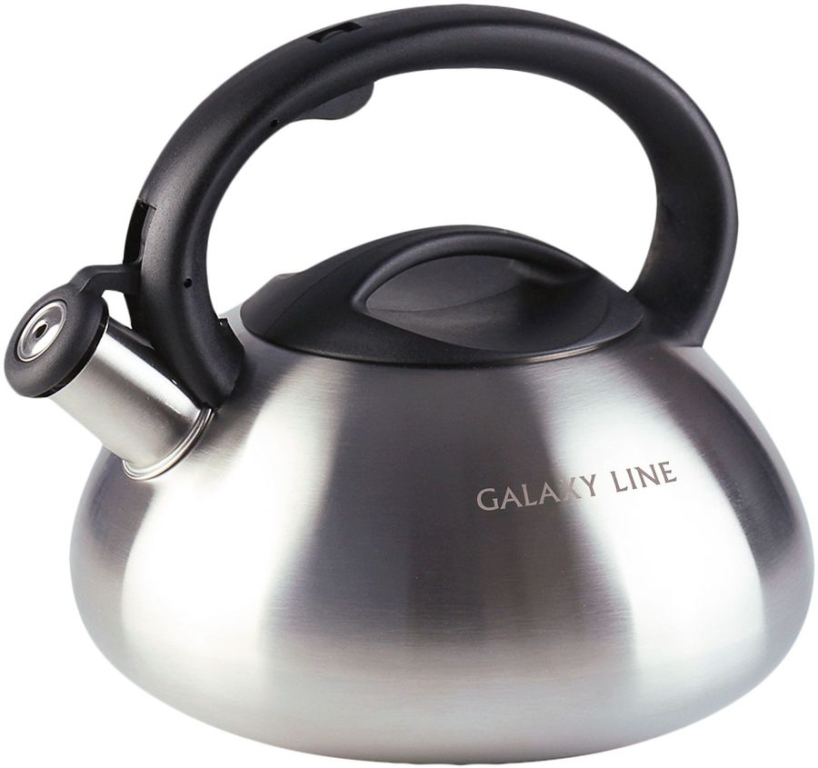 Чайник металлический Galaxy Line GL 9212 3л. стальной (ГЛ9212Л)