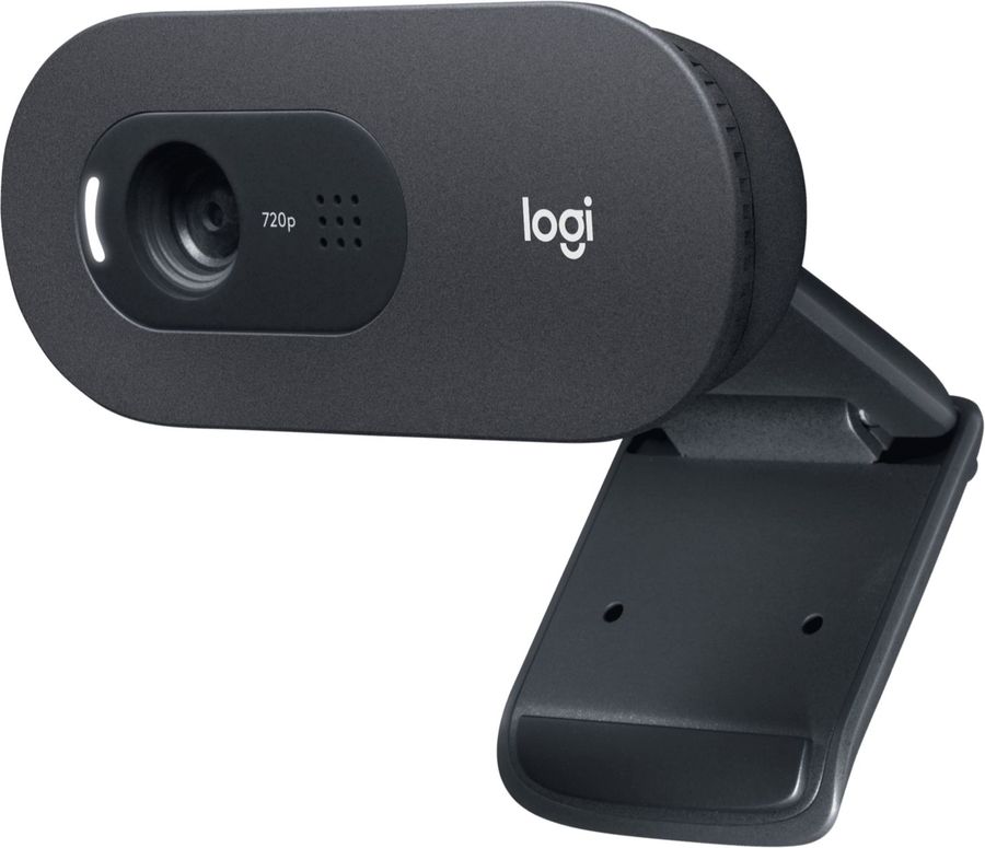 Камера Web Logitech C505e черный 1.2Mpix (1280x720) USB2.0 с микрофоном для ноутбука (960-001373)