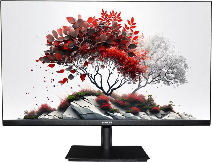 Монитор RDW Computers 27" RDW2701K черный IPS 1ms 16:9 HDMI M/M HAS Piv 1000:1 350cd 178гр/178гр 2560x1440 100Hz DP QHD USB 1.7кг (RUS)