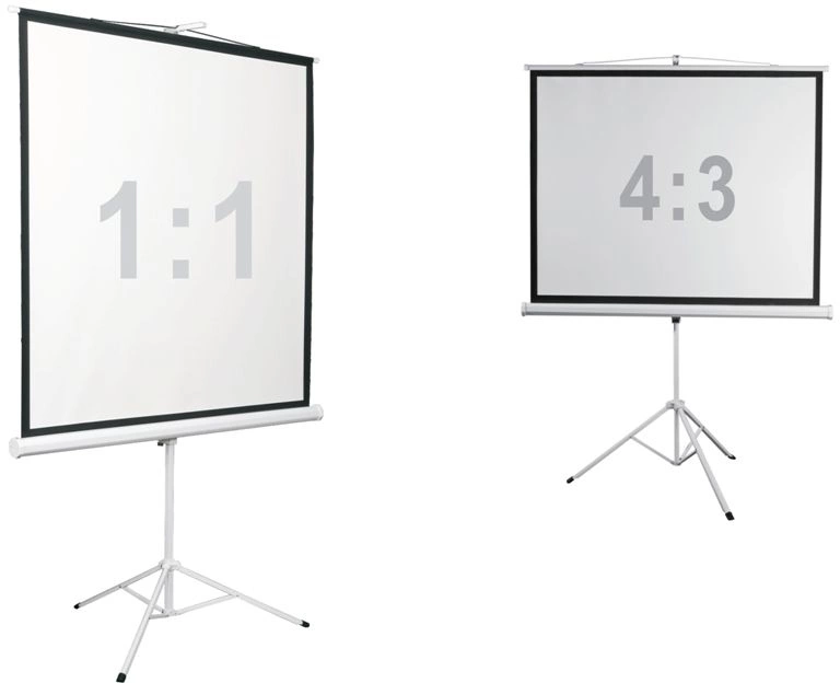 Экран на треноге Digis 135" 248x250см Kontur-D DSKD-1108 1:1 напольный рулонный белый
