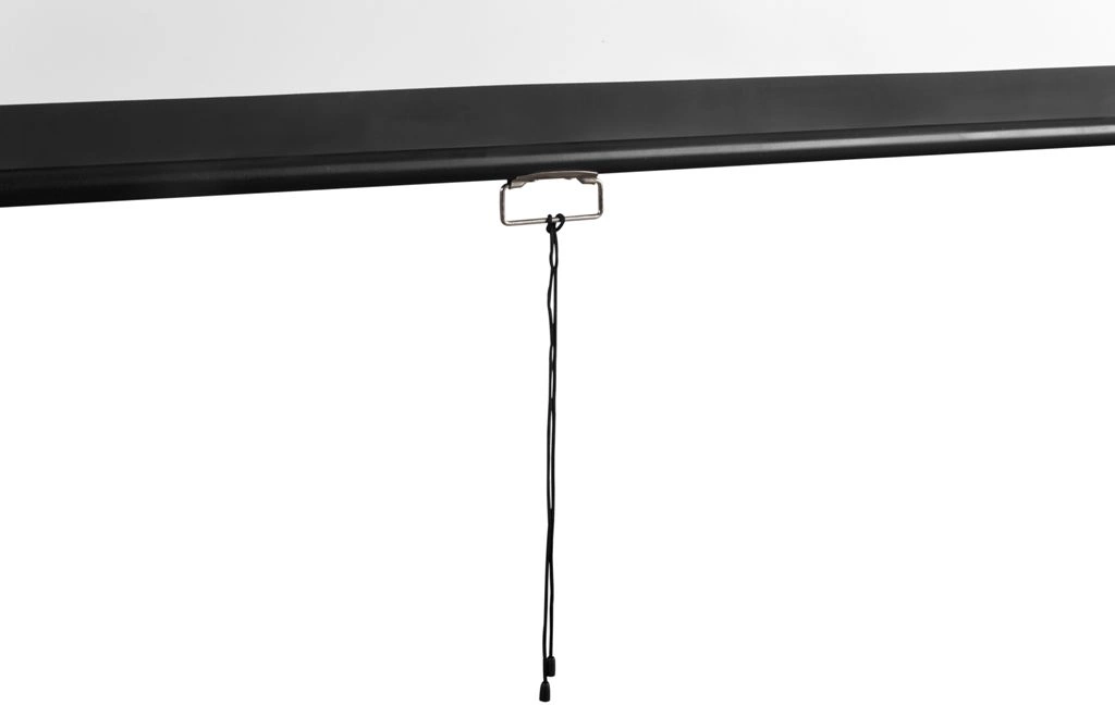 Экран Digis 248x144см Optimal-D DSOD-16905 16:9 настенный рулонный белый