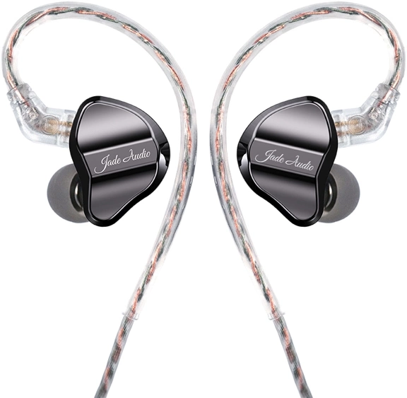 Гарнитура внутриканальные Fiio JD1 1.2м черный проводные в ушной раковине (80003799)