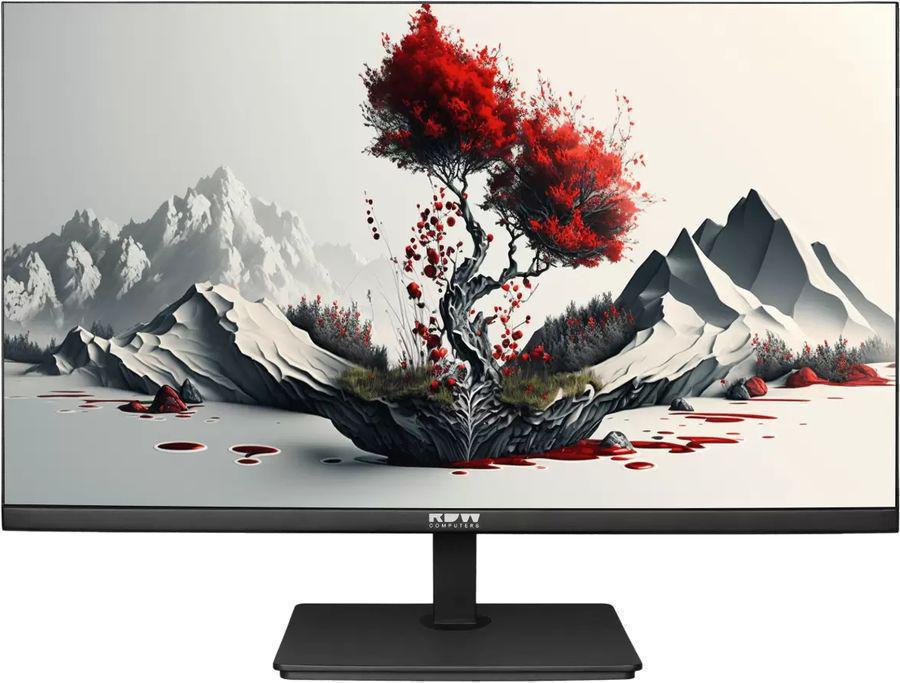Монитор RDW Computers 23.8" RDW2401K черный IPS 5ms 16:9 HDMI M/M матовая HAS Piv 1000:1 300cd 178гр/178гр 1920x1080 120Hz VGA DP FHD 4.185кг (RUS)