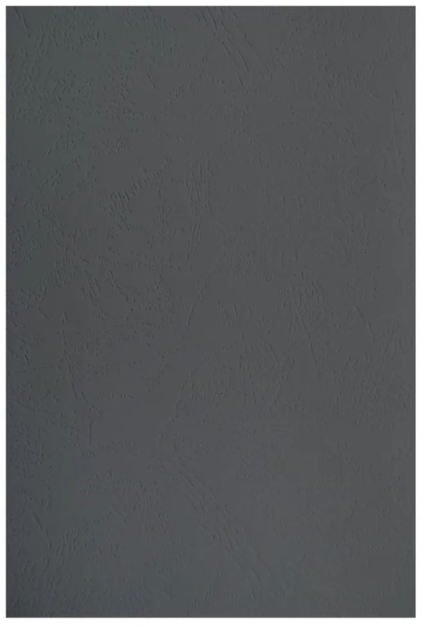 Обложки для переплёта Silwerhof Daily A4 230г/м2 черный (100шт)