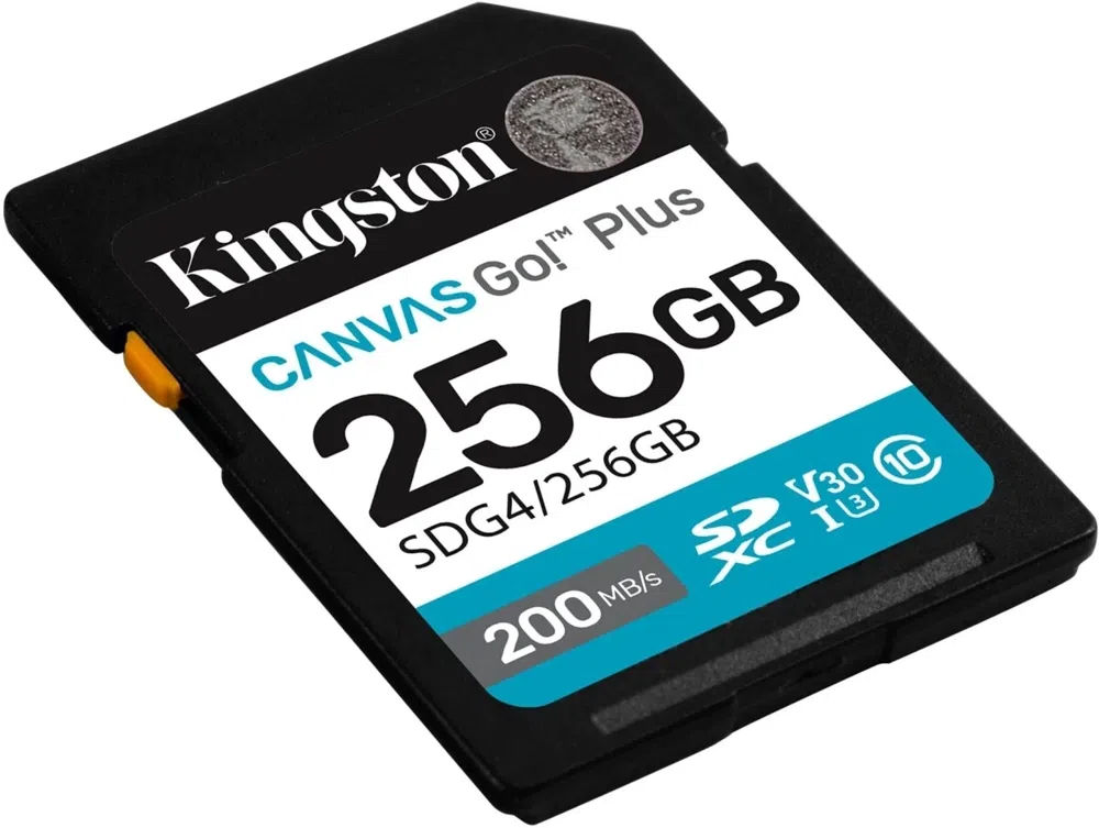 Флеш карта SDXC 256GB Kingston SDG4/256GB Canvas Go! Plus V30 w/o adapter
