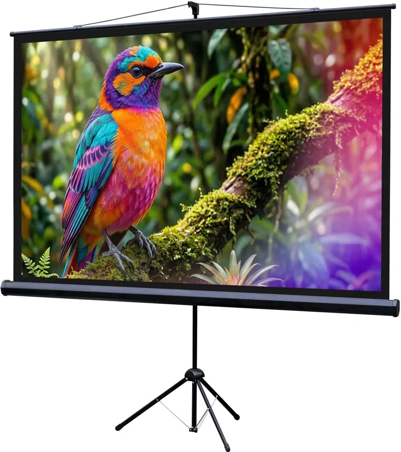 Экран Lumien 100" 130x227см Eco Picture LEV-100115 16:9 напольный натяжной черный