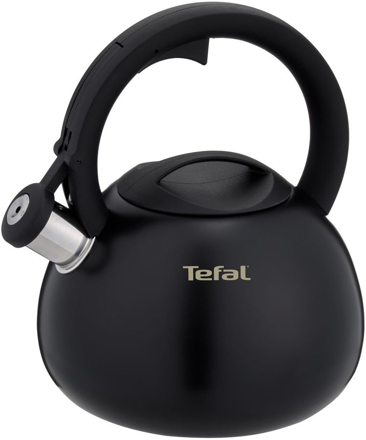 Чайник металлический Tefal Intuition N4180417 2.5л. черный (3110601825)