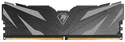 Память DDR4 16GB 3200MHz Netac Shadow II CL16 1.35V NTSWD4P32SP-16K Black