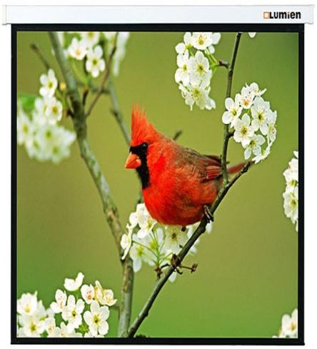 Экран Lumien 119" 220x220см Master Picture LMP-100129 1:1 настенно-потолочный рулонный