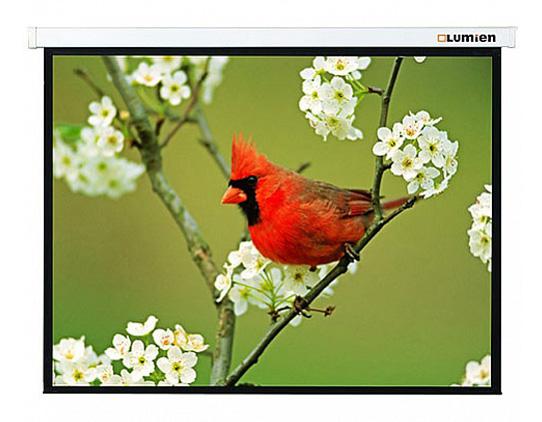 Экран Lumien 165" 305x305см Master Picture LMP-100107 1:1 настенно-потолочный рулонный