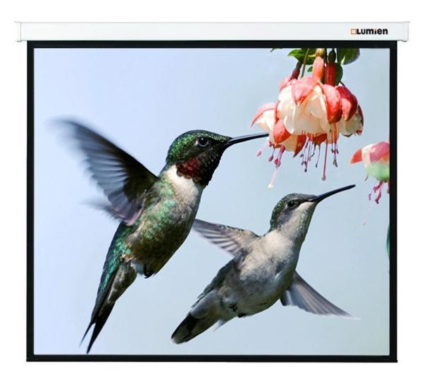 Экран Lumien 123" 202x280см Master Picture LMP-100117 16:9 настенно-потолочный рулонный