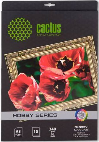 Холст Cactus CS-CGA334010 A3/340г/м2/10л. глянцевое хлопок для струйной печати